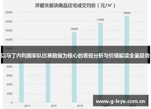 以马丁内利国家队比赛数据为核心的表现分析与价值解读全面趋势