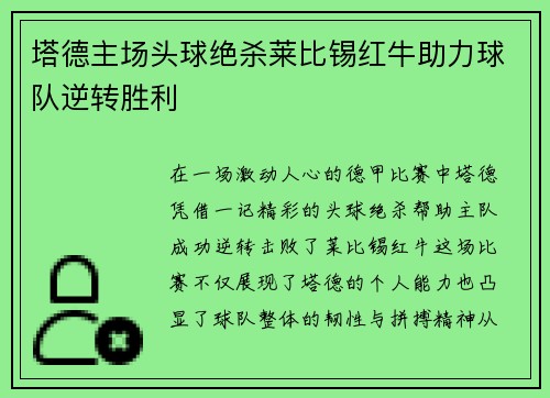 塔德主场头球绝杀莱比锡红牛助力球队逆转胜利